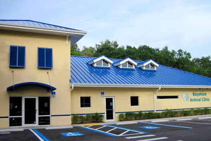 animal coalition of tampa reviews