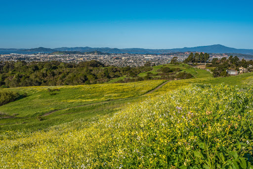 Wildcat Canyon Regional Park