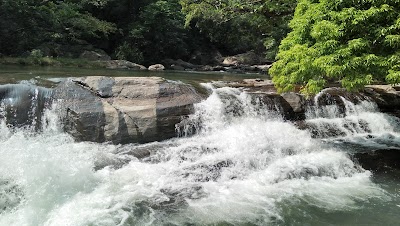 Photos of Knuckles Forest Reserve