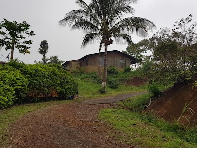 Photos of Recreativo Municipal Los Chorros Park