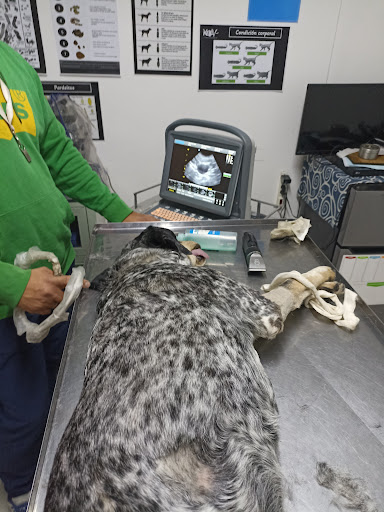 Clínica veterinaria KELEV - Thumbnail
