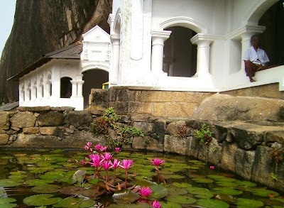 Photos of Amila Tours
