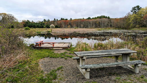 Fenton-Ruby Park - Visual