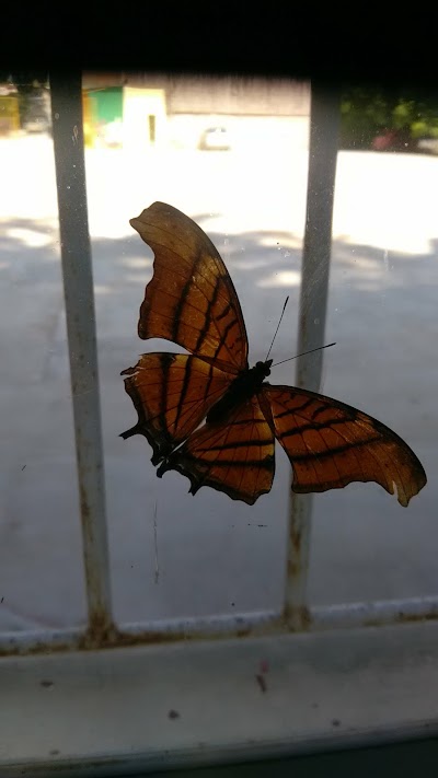 Photos of Kiwikgolo Ecopark