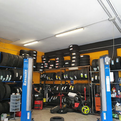 Atik Gomme Parma - Visual