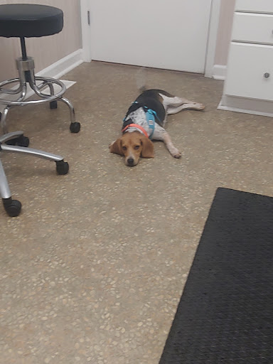 VCA Richland Animal Hospital