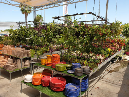 Vivero Garden Verdeflora