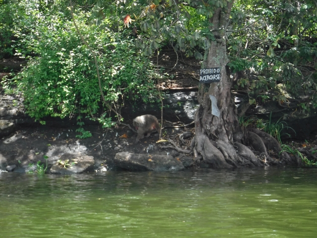 Laguna de Catemaco