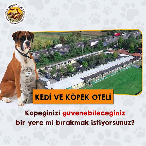 Showdogs Kopek Ciftligi Egitim Uretim Satis Otel Kopek Egitim Uretim Otel Kuafor Kedi Uretim Otel Kuafor Petshop