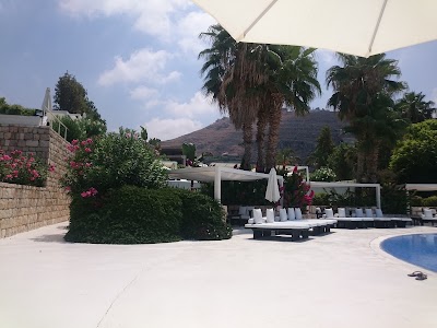 Photos of Orchid Beach Resort