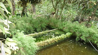 Photos of Bilsa Biological Reserve