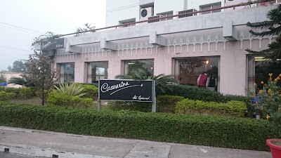 Photos of Casuarina