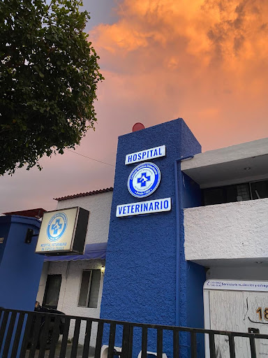 Central Médica Veterinaria-- Hospital Veterinario de Especialidades