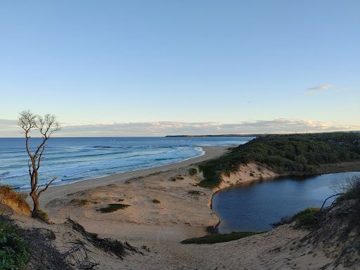 Cudmirrah on leash beach