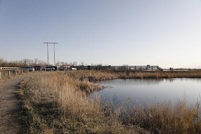 Alda Sandhill Crane Viewing Deck