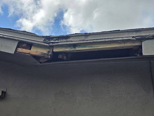 Suncoast Repairs - Visual