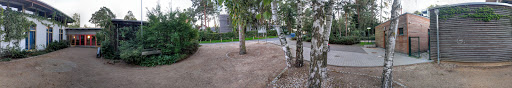 Hanna Elementary School of Pestalozza - Thumbnail