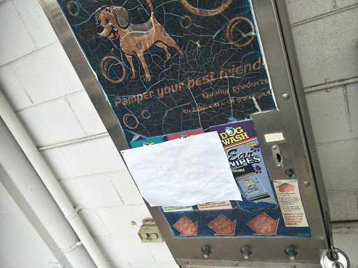Blue Dolphin Car and Dog Wash