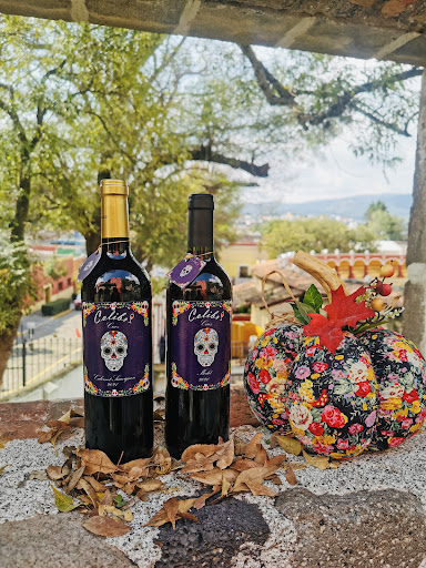 Vino Colibrí Gallery - Mexico