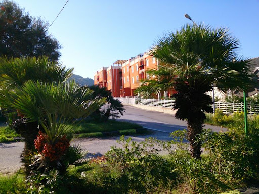 Murat Agency Srl Gallery - Italy