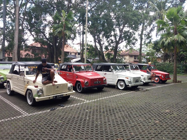 Monkey Forest