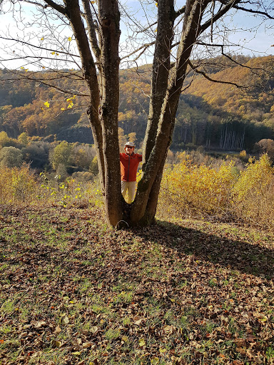 Wanderhütte "Heidenweg" - Thumbnail