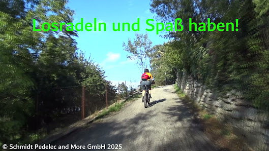 Videos