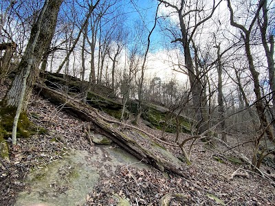 Markham Hill Nature Trails