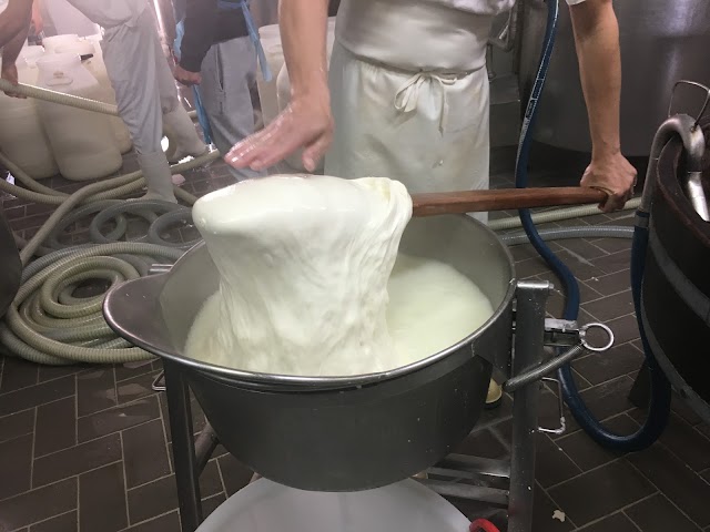 Caseificio Il Casolare Snc