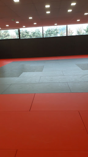 Monteux Taekwondo Club - Thumbnail