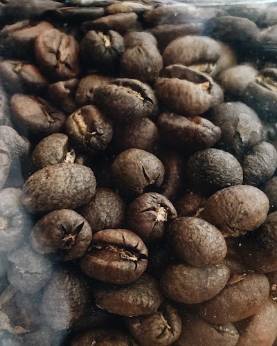 Photos of B&aacute;sico Coffee Co.