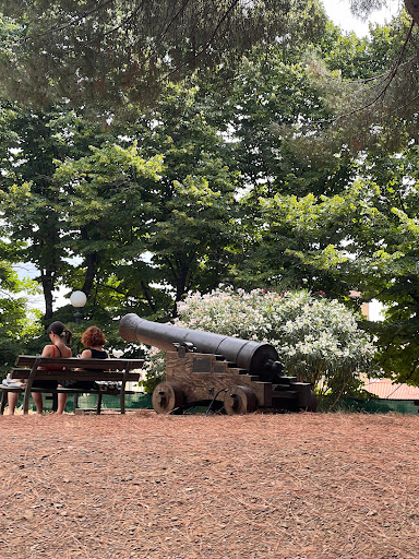 Cannone Francese - Thumbnail