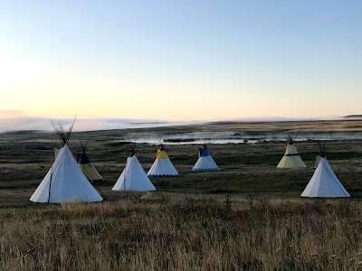 Lodgepole Gallery