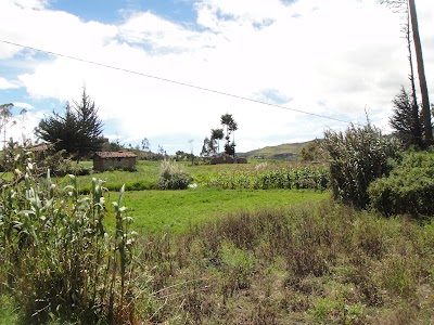 Photos of Mi Chosita
