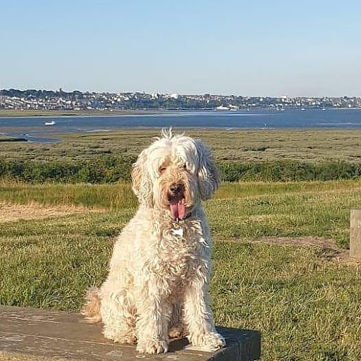 Canvey Heights Country Park - Thumbnail