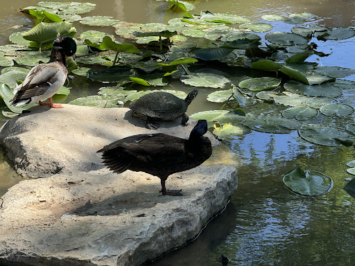 Museum Reach: San Antonio River Walk Gallery - United States