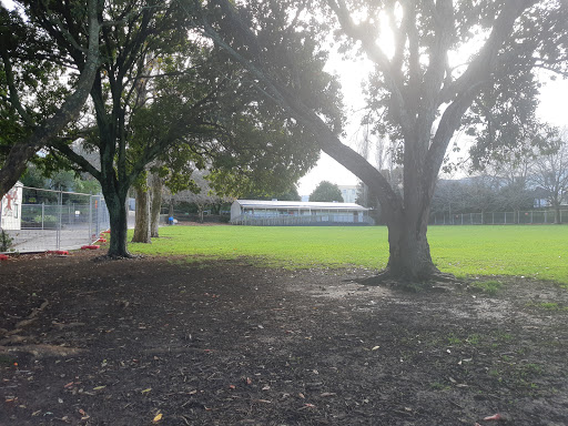 Onehunga Primary School - Thumbnail