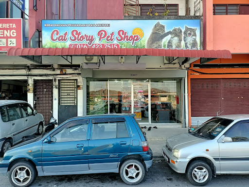 Cat Story Seri Manjung