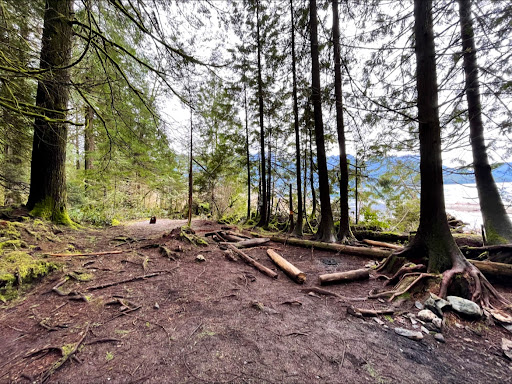 Raven Creek Provincial Marine Park Gallery - Canada