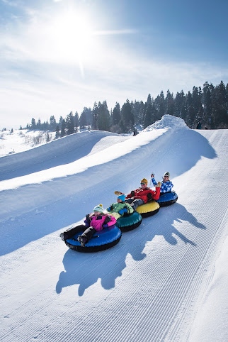 Woodward Park City by null