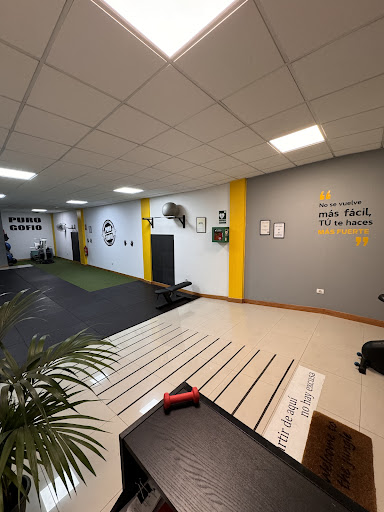 Puro gofio entrenador personal