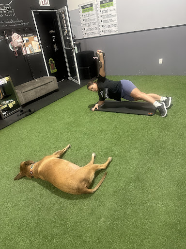 Kristy Lee Fitness