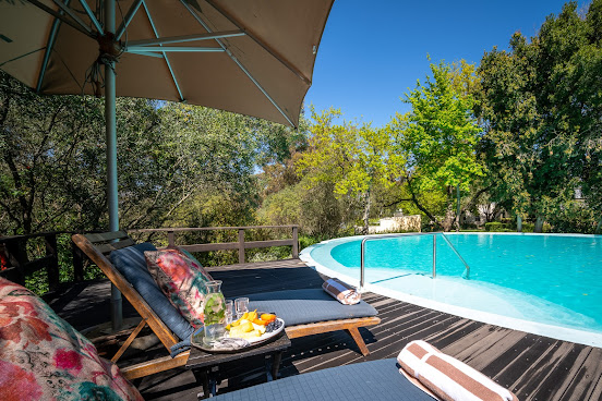 Bartholomeus Klip by null