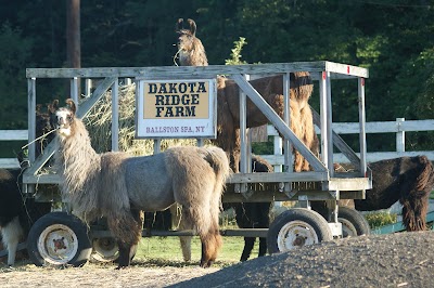 Dakota Ridge Farm