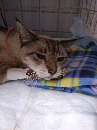 Photos of Clinica Veterinaria No Ar