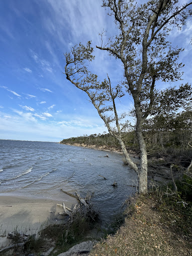 Etheridge Point