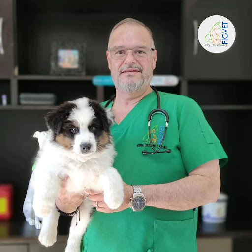 FIGVET VETERINARIA SAN CARLOS