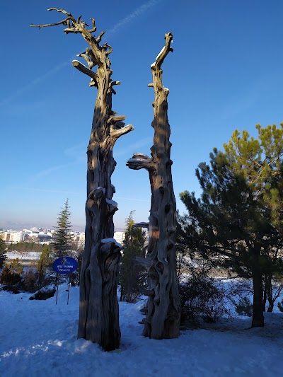 Eskişehir Urban Forest