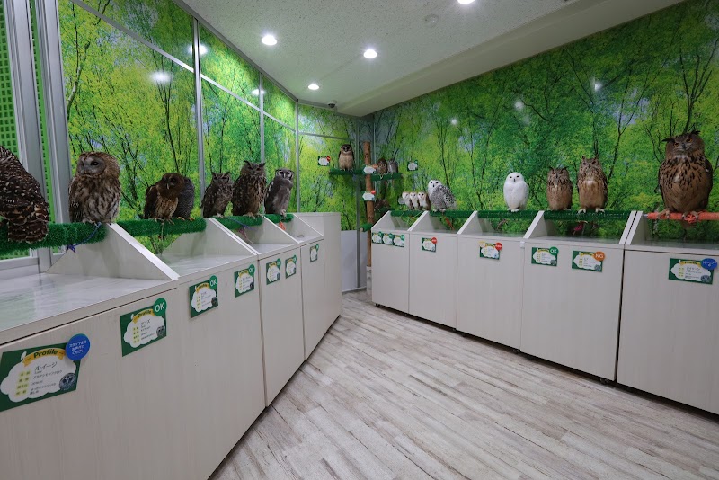 アニマルルーム いけもふ