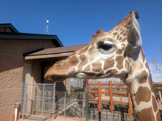 Cheyenne Mountain Zoo